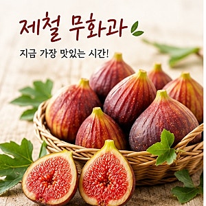 지금이 딱! 제철 무화과 추천_달고 맛있는 무화과 고르는 법+보관방법