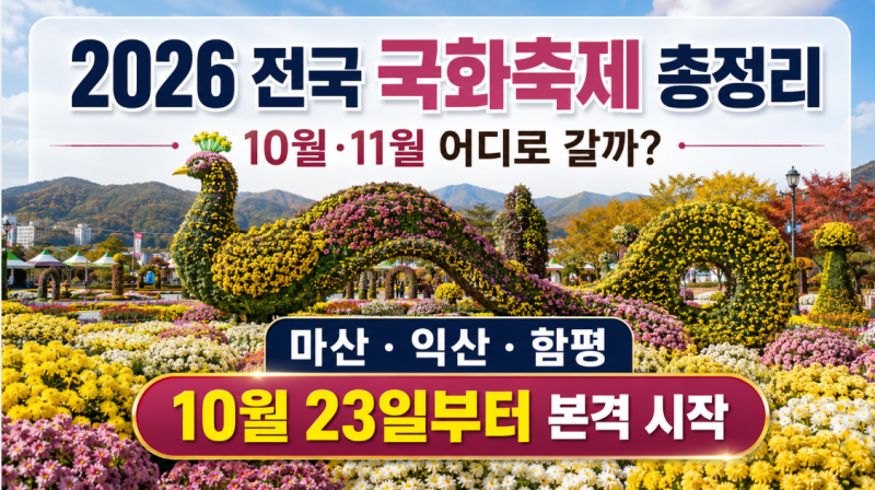 2026 전국 국화축제 총정리｜마산·익산·함평 10월·11월 어디로 갈까?