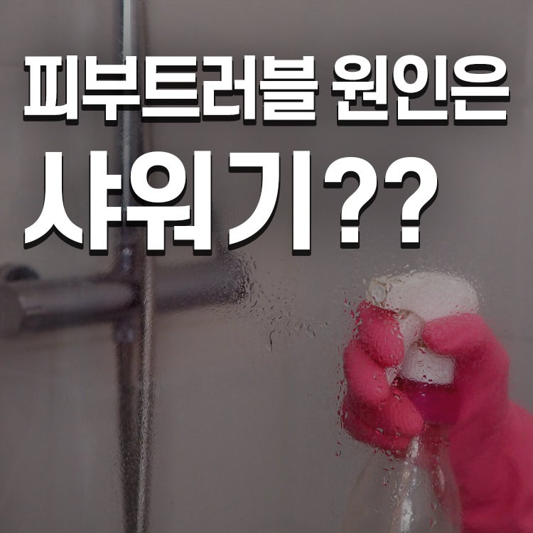 욕실 곰팡이 해결 & 예민한 피부 케어, 필터샤워기+호스 풀세트 특가