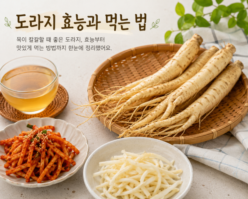 도라지 효능 7가지, 먹는 법과 주의할 점까지 쉽게 정리