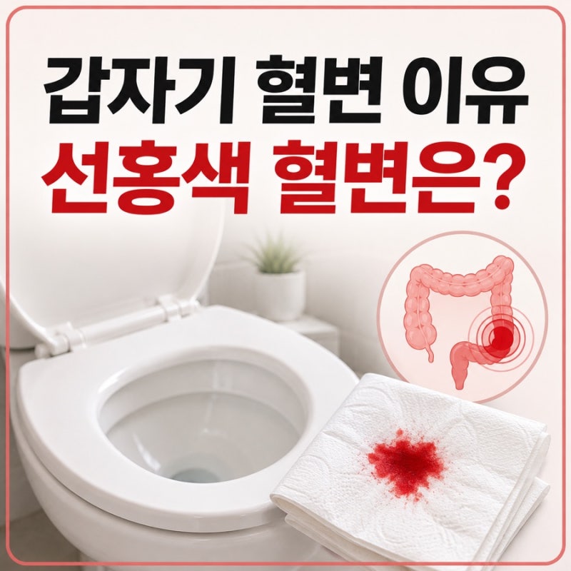 갑자기 혈변 이유 선홍색 혈변은?