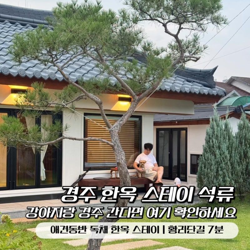 경주 애견동반 숙소 추천 황리단길 7분 강아지와 마음껏 뛰놀 수 있는 한옥 독채 스테이 석류