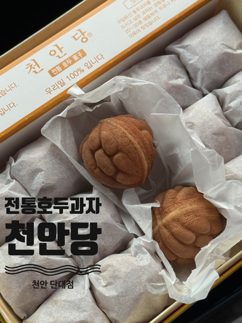 천안 맛집 천안당 단대점 무방부제 국산팥으로 채운 진짜 전통 호두과자