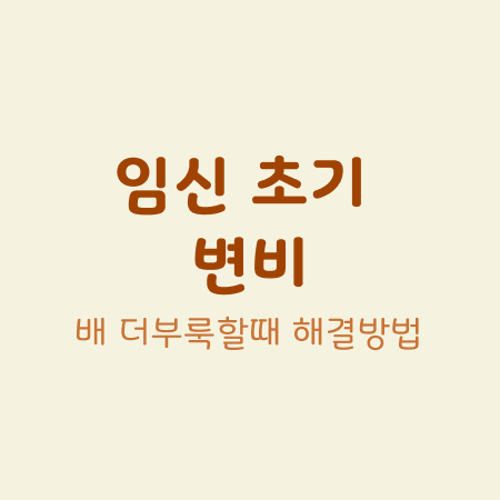 임신 초기 변비, 배가 더부룩하고 화장실이 힘들 때