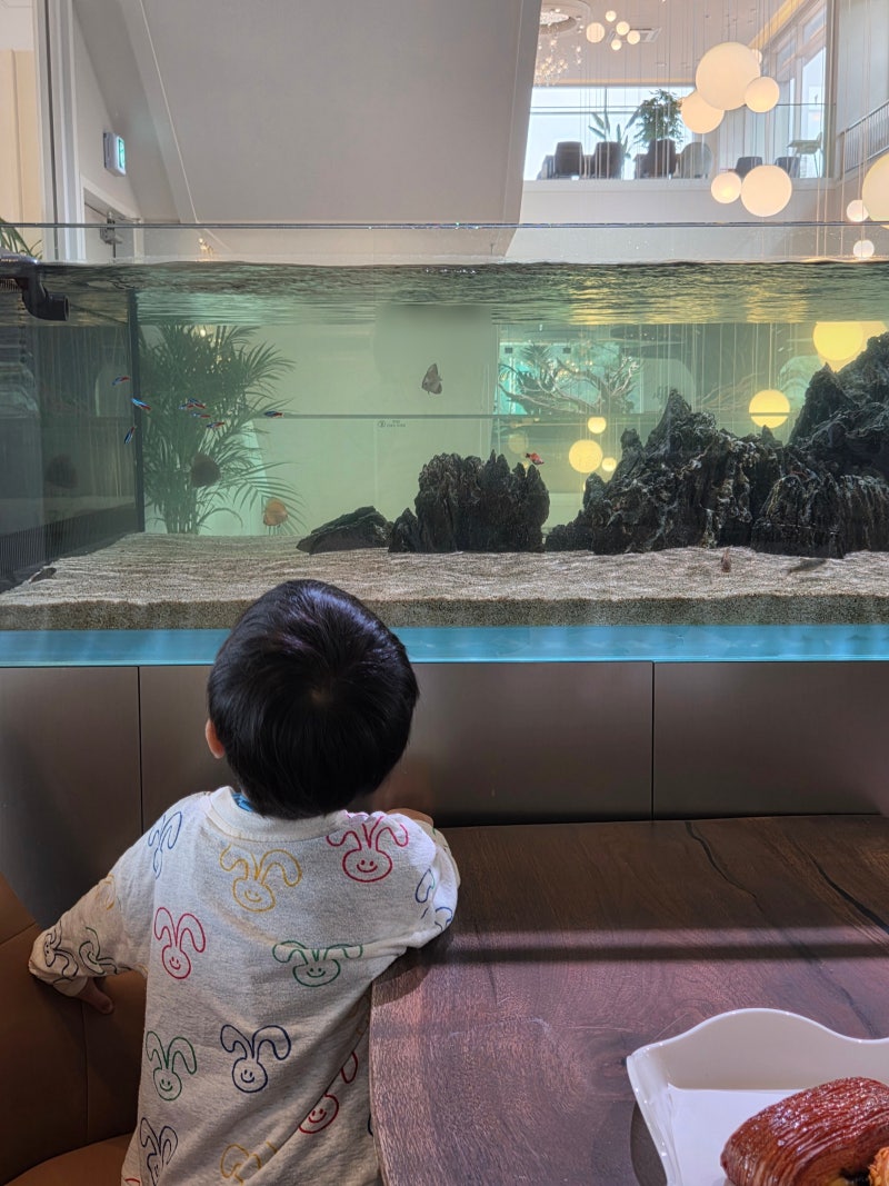 천안 수족관이 있는 홍종흔베이커리, 빵종류