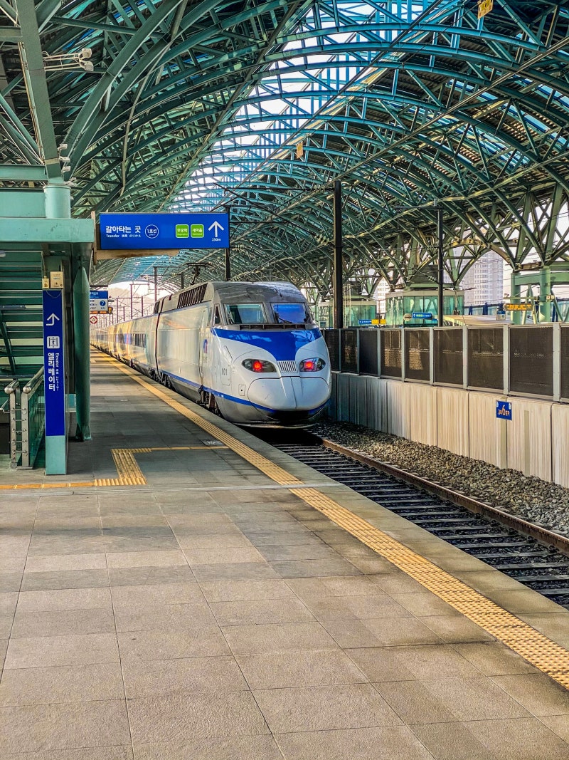 KTX 예매하는 방법 예매 시간 변경 취소 총정리