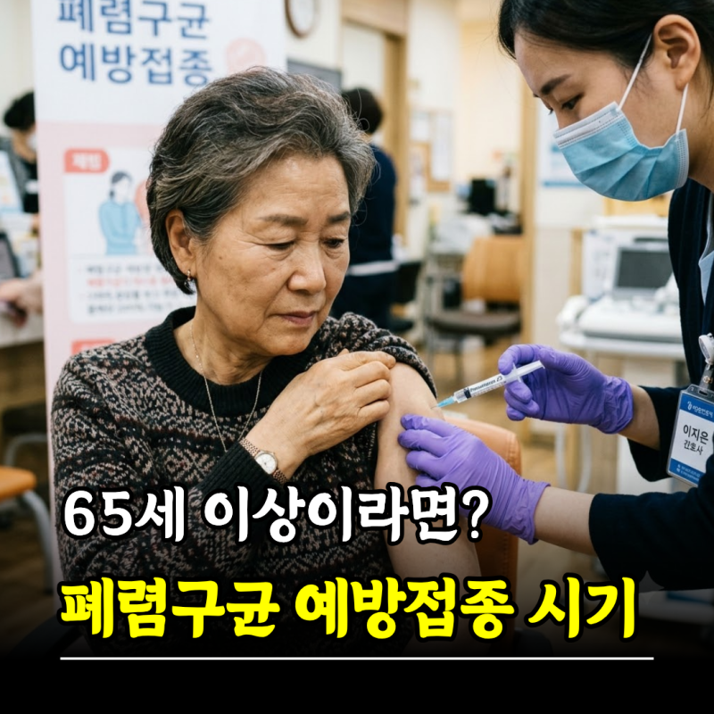 65세 이상이라면? 폐렴구균 예방접종 종류 시기 무료 대상