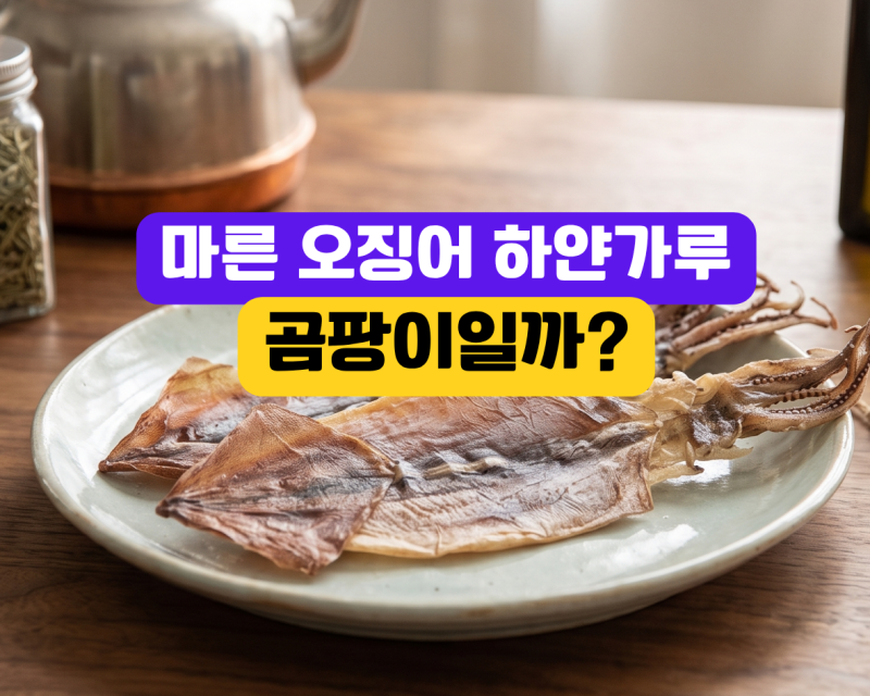 마른오징어 하얀 가루 곰팡이일까?칼로리 단백질 냉장 냉동 보관방법 효능