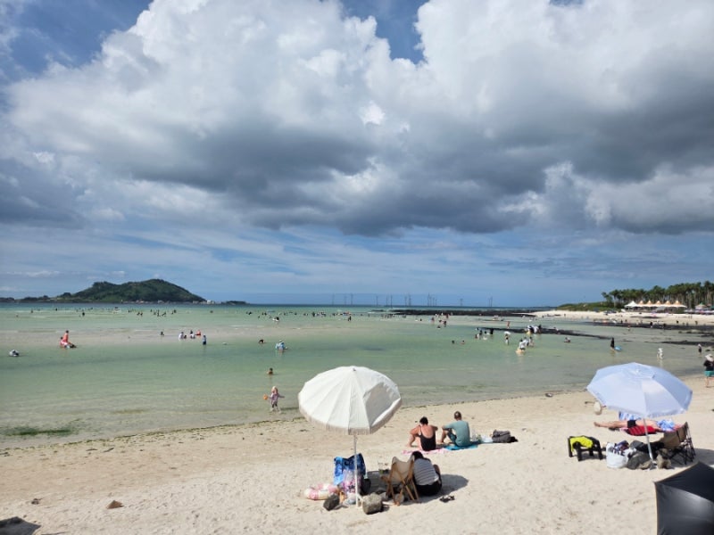 제주 서쪽 여행/ 제주 바다 협재보다 금능이 좋더라!