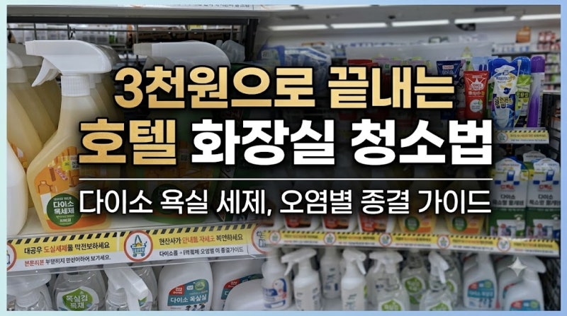 다이소 화장실 청소 세제 추천 및 오염 종류별 효과적인 선택 가이드