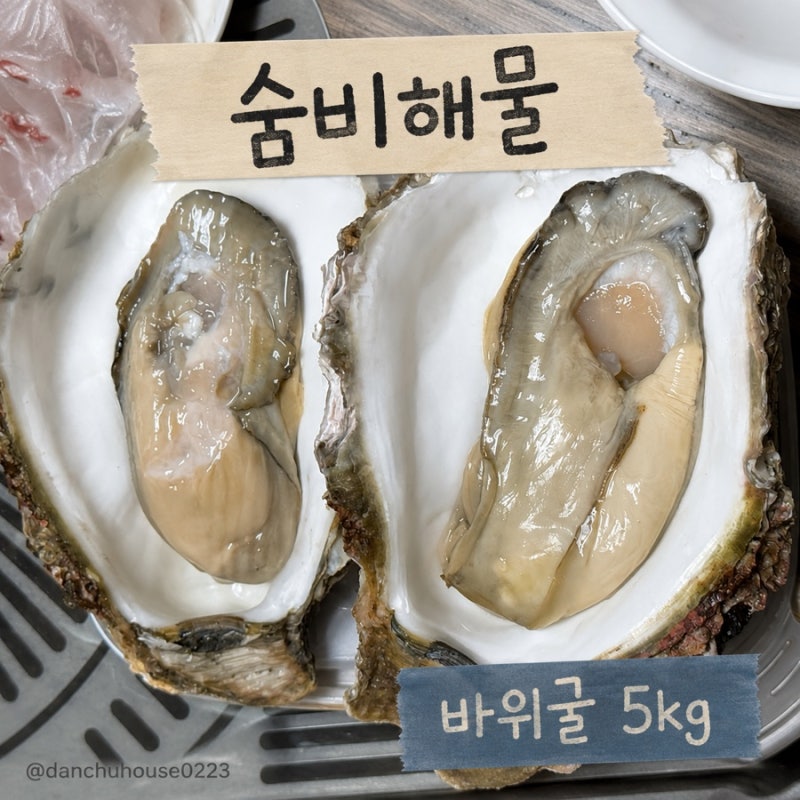 숨비해물 바위굴 택배 내돈내산｜손바닥만 한 하프쉘 바위굴 후기