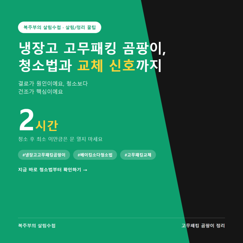 냉장고 고무패킹 곰팡이 제거, 청소법과 교체 신호까지 정리했어요