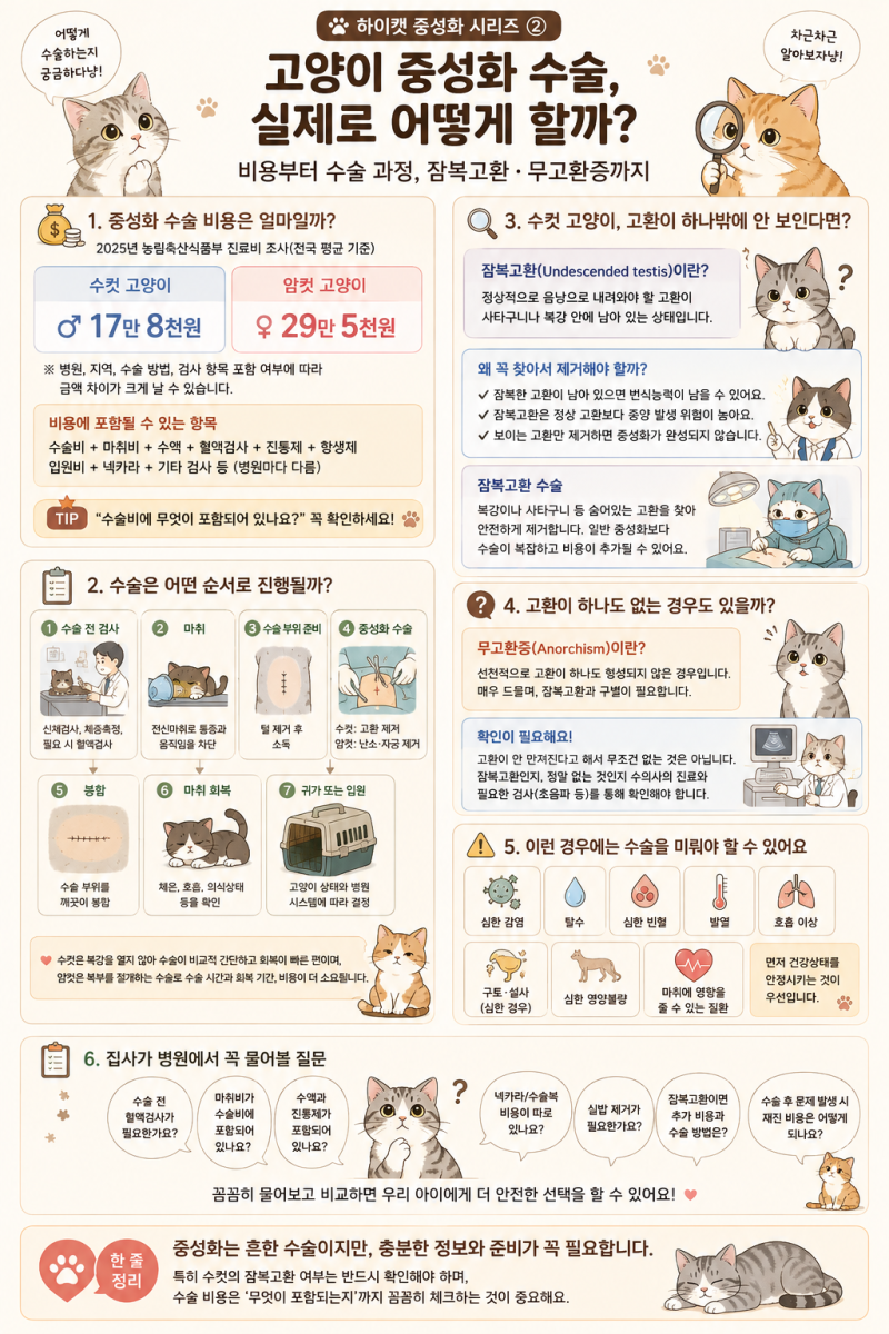 54. 드디어 마주친 운명의 시간! 고양이 중성화 수술 2편