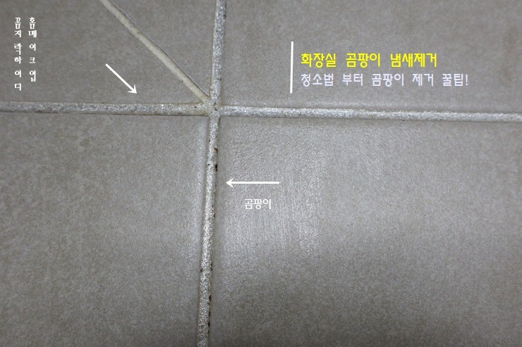 화장실 곰팡이 냄새제거 곰팡이젤로 곰팡이 제거방법 청소법 꿀팁