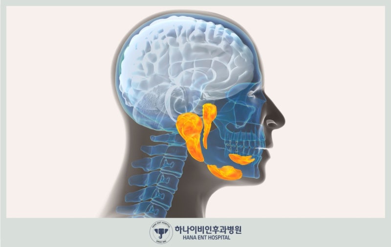 침샘암, 꼭 수술해야 하나요?