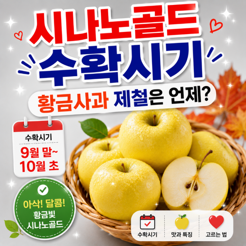 모르고 사면 맛을 놓칩니다｜시나노골드 제철·수확시기·당도·고르는법 총정리
