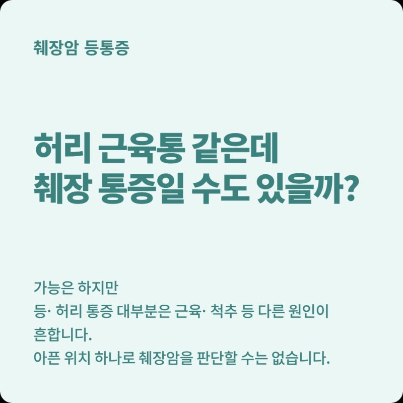 허리 아픈 줄 알고 파스만 붙였다면? 췌장 통증은 등이 어떻게 아를까