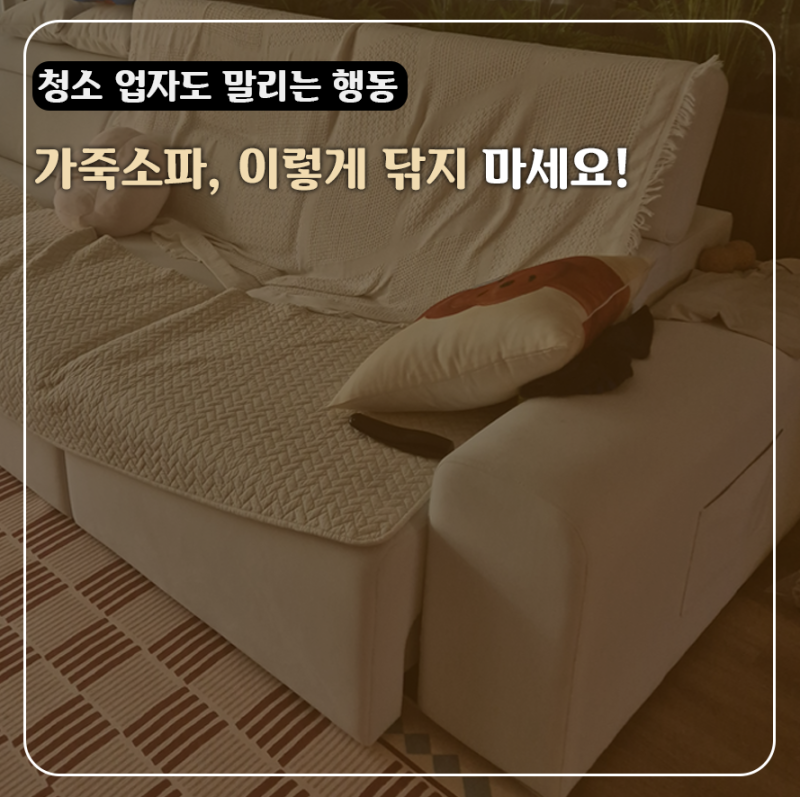 가죽소파 청소 관리 자주 닦을수록 좋은 줄 알았는데...청소 업자가 먼저 말리는 "이 행동"