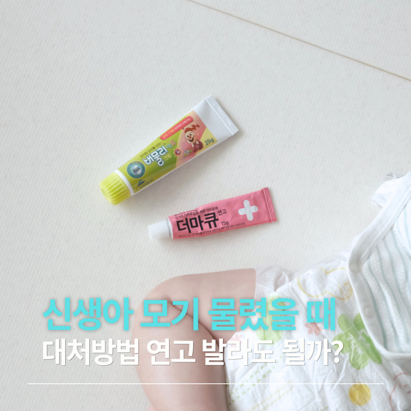신생아 모기 물렸을 때 대처방법 아기 모기 물린 데 연고 발라도 될까?