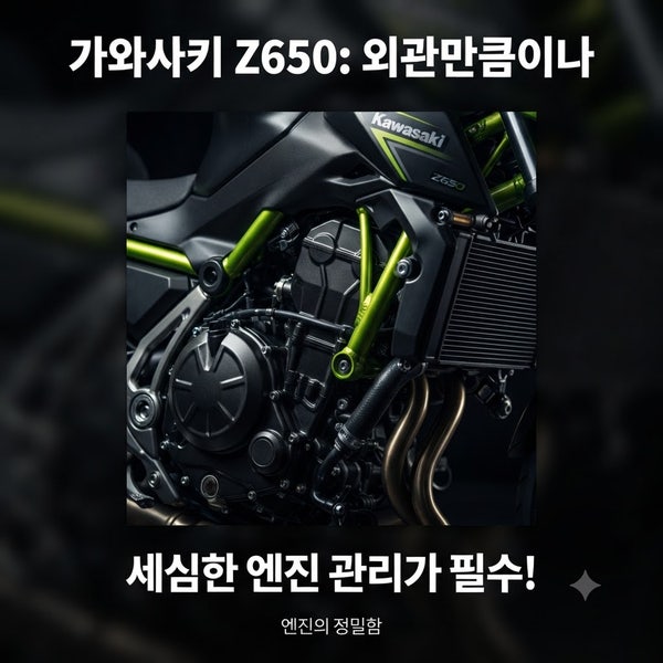 가와사키 Z650 수리비, "미들급이라 만만하게 봤다가 큰코다쳤네요"