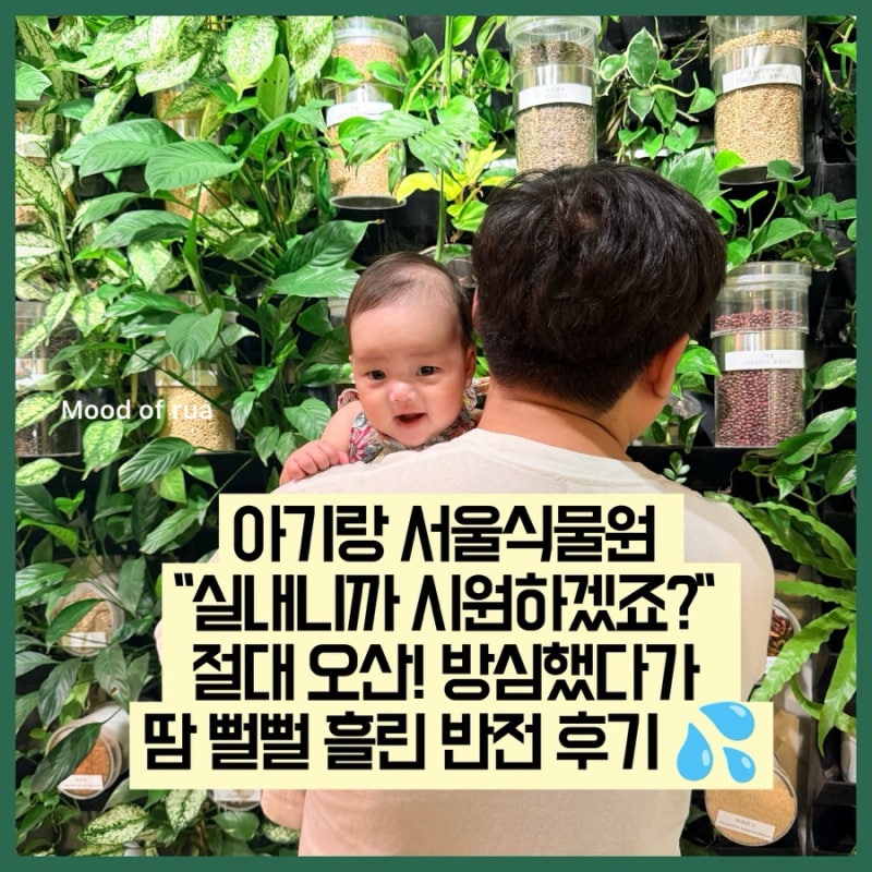 [서울 마곡] 아기랑 서울식물원 "실내니까 시원하겠죠?" 절대 오산! 방심했다가 땀 뻘뻘 흘린 ....