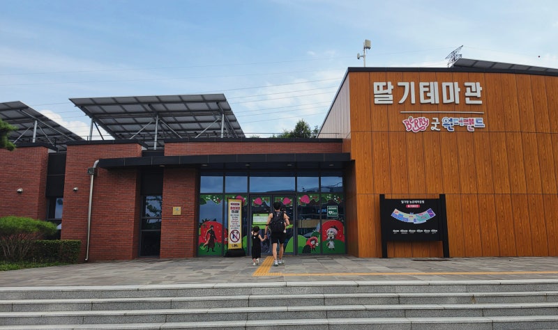 [논산] 탑정호 힐링생태체험관 & 딸기테마관: 키즈카페 딸기테마관