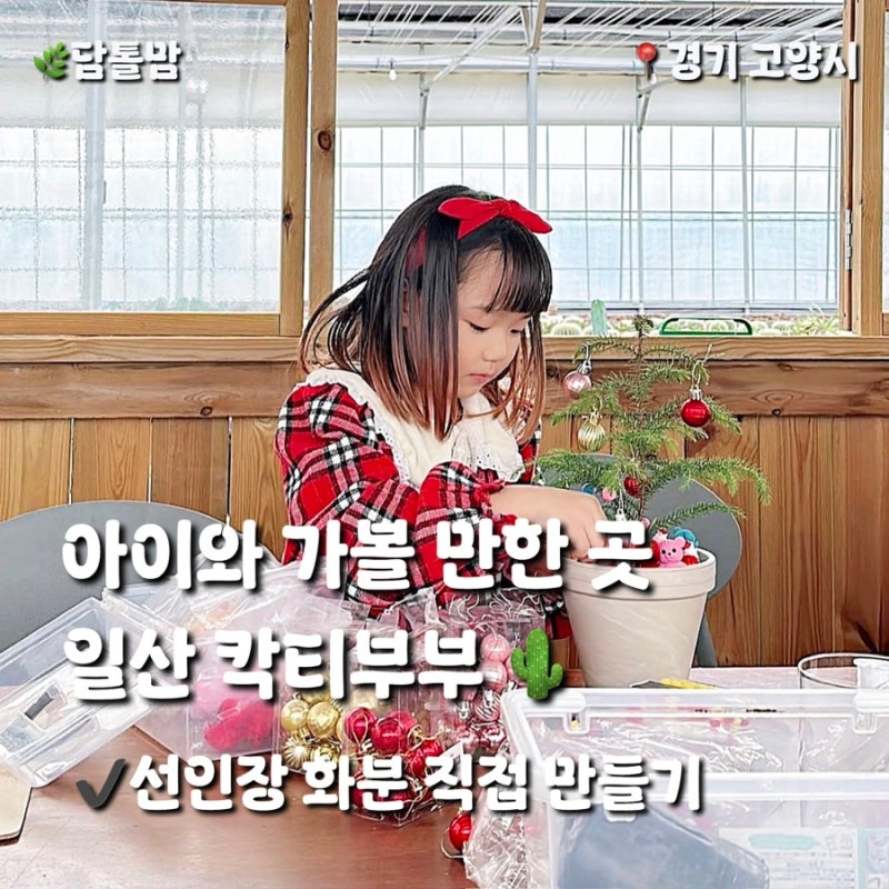 일산 칵티부부｜두 번 방문한 후기와 선인장 체험·농장 방문권 이용정보