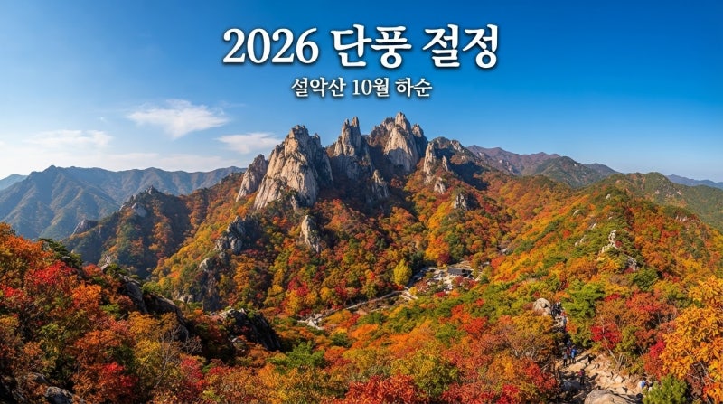 2026 단풍 시기 총정리|전국 단풍 명소 Top5와 화담숲·경주 예약 꿀팁