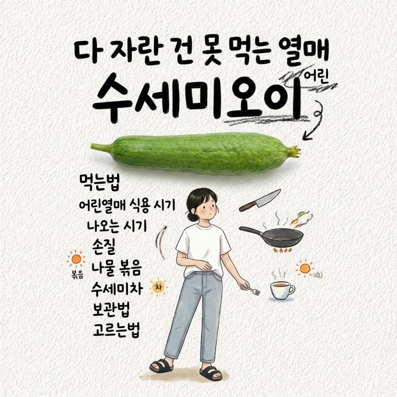 수세미오이 먹는법 어린열매 식용 시기 나오는 시기 손질 나물 볶음 수세미차 보관법 고르는....