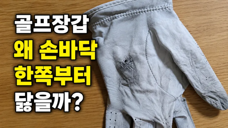 골프장갑은 왜 손바닥 한쪽부터 닳을까? 오래 쓴 장갑을 살펴보니