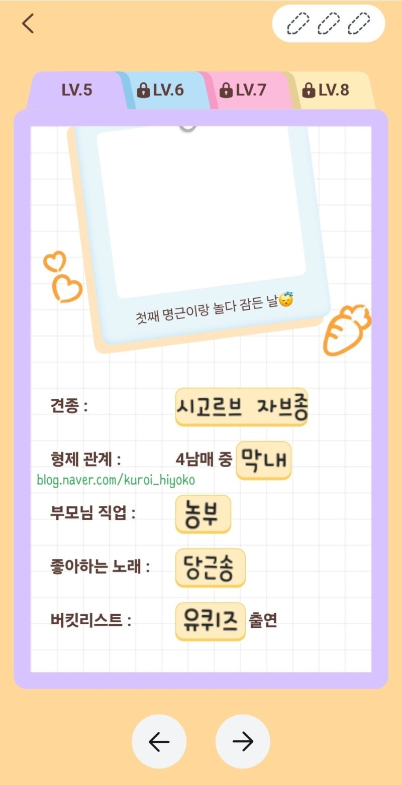 당근이 견종 당근이 형제관계 부모님직업 당근이가 좋아하는노래 당근이버킷리스트