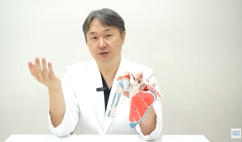 회전근개 파열 오십견, 둘 다 아픈데 뭐가 다른 거죠?