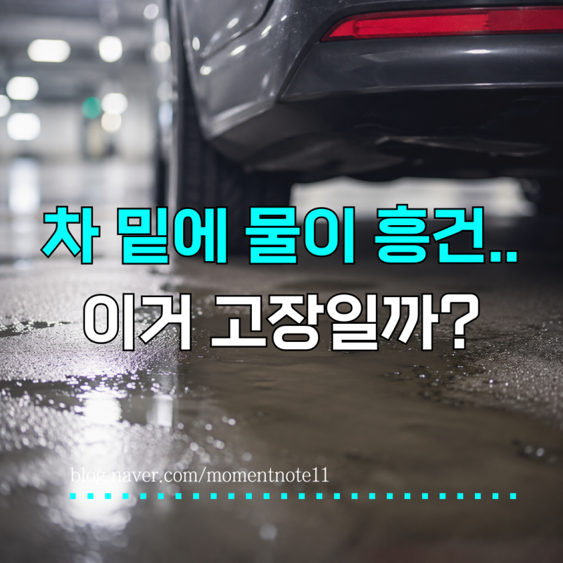 “주차했는데 차 밑에 물이 흥건하다?” 자동차 누수, 그냥 물인지 확인하는 법