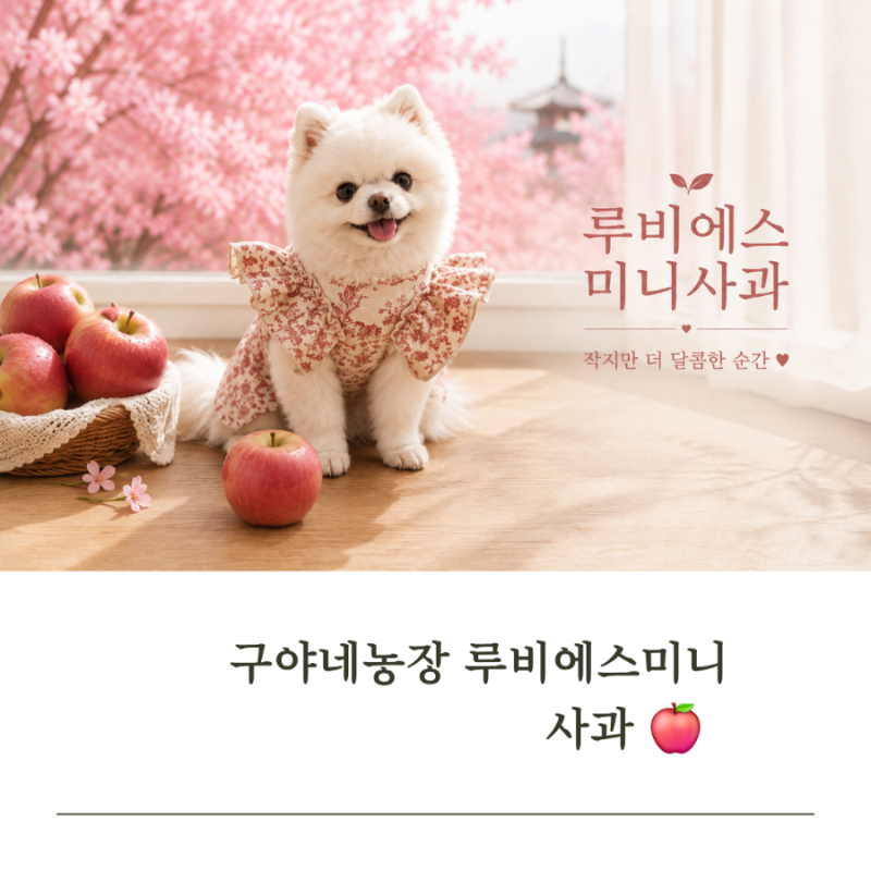 구야네농장 루비에스 미니사과 골프 라운딩 간식으로 추천