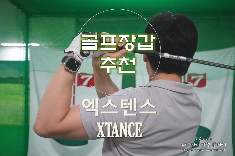 골프장갑남성 추천 엑스텐스XTANCE L그립 양피골프장갑 후기