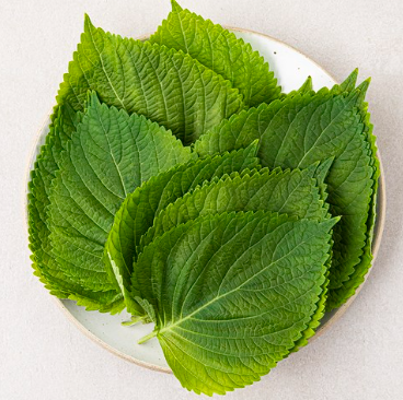깻잎 보관법｜시들지 않고 오래 냉장보관하는 방법