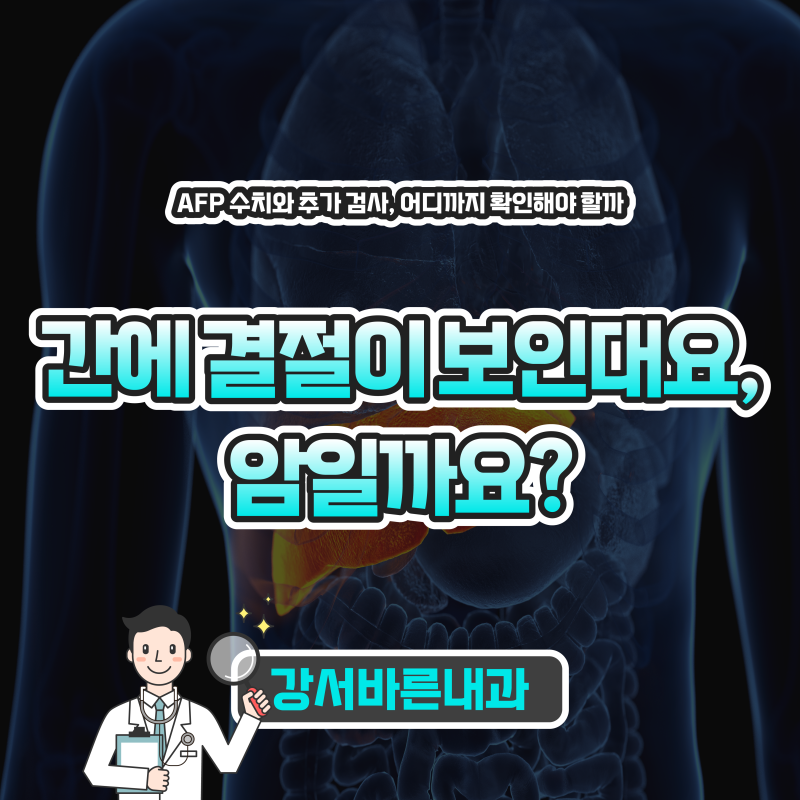 간에 결절이 보인대요, 암일까요? — AFP 수치와 추가 검사, 어디까지 확인해야 할까 | 강서구....