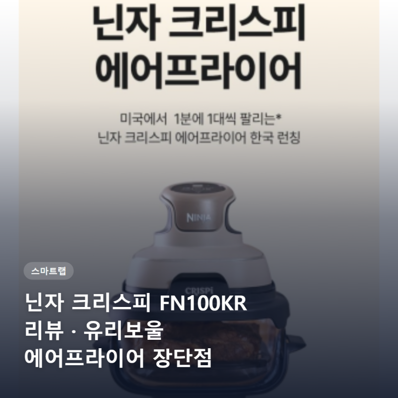닌자 크리스피 FN100KR 리뷰 유리보울 에어프라이어 장단점 총정리