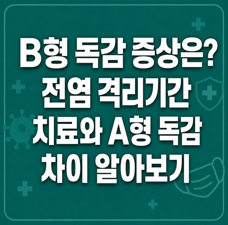 B형 독감 증상은? 전염 격리기간 치료와 A형 독감 차이 알아보기