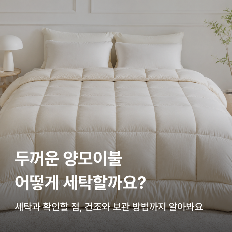 양모이불 세탁, 세탁기에 돌려도 될까? 세탁·건조 방법