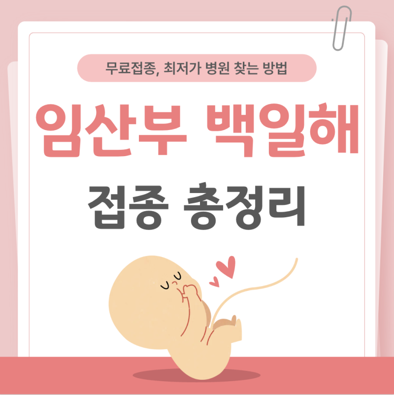 2026 임산부 백일해 주사 | 무료접종, 최저가 병원 찾는 방법