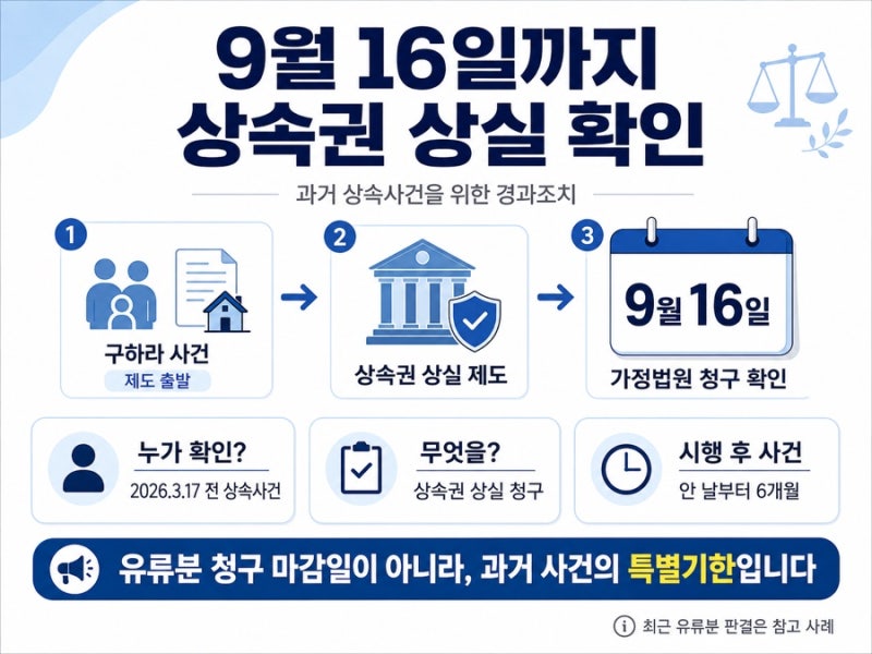 9월 16일까지 ‘상속권 상실’을 확인하세요. 구하라 사건에서 최근 유류분 판결까지, 달라진....