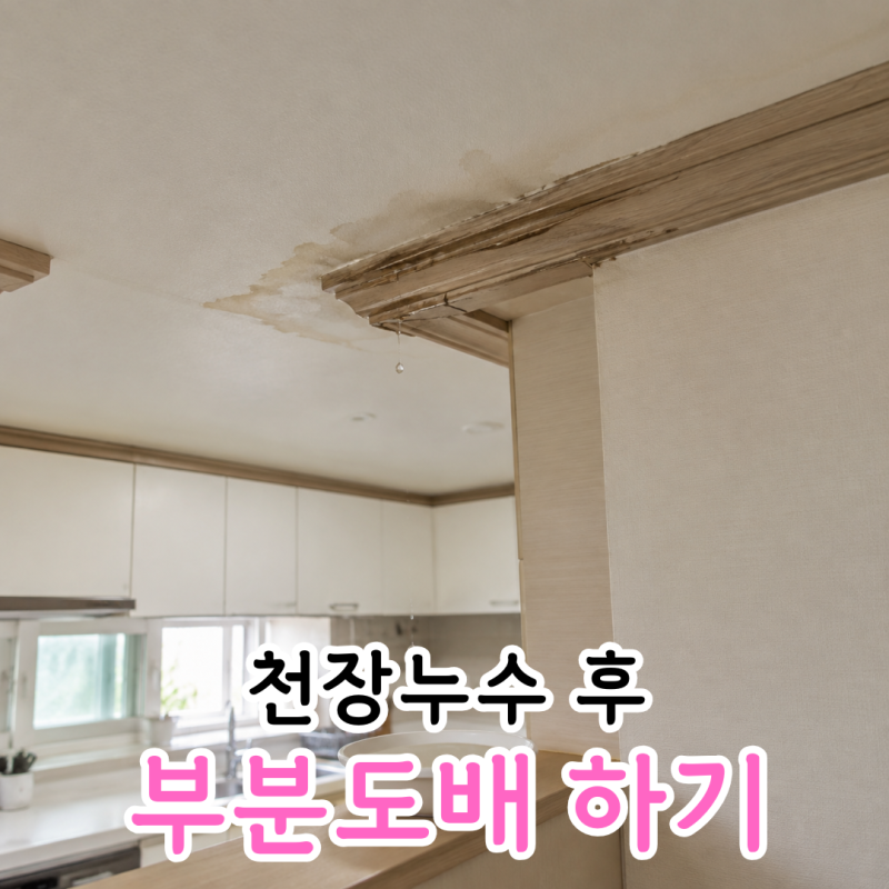 천장누수 부분도배 비용 견적 윗집과 원만한 처리방법