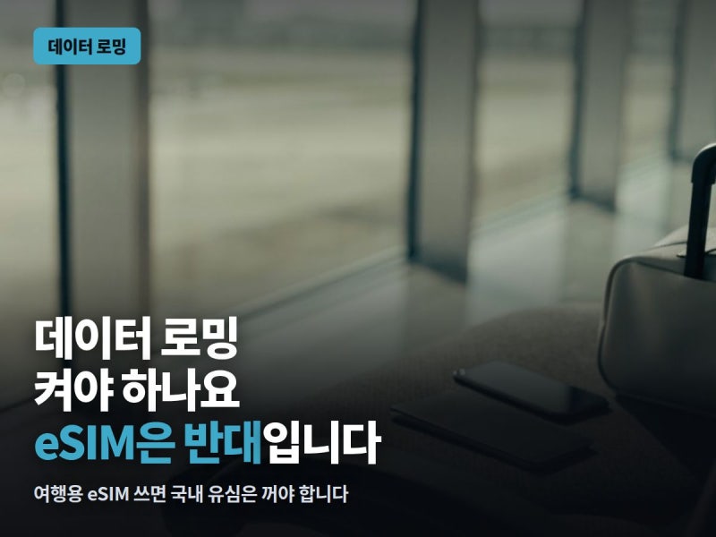 데이터 로밍 켜야 하나요 — 여행용 eSIM 쓸 때는 하나를 더 꺼야 합니다