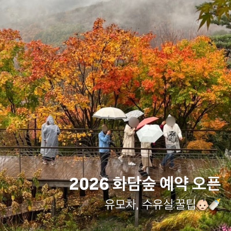2026 화담숲 예약 오픈｜아기랑 단풍 나들이 준비 (단풍 시기, 유모차/수유실 꿀팁)