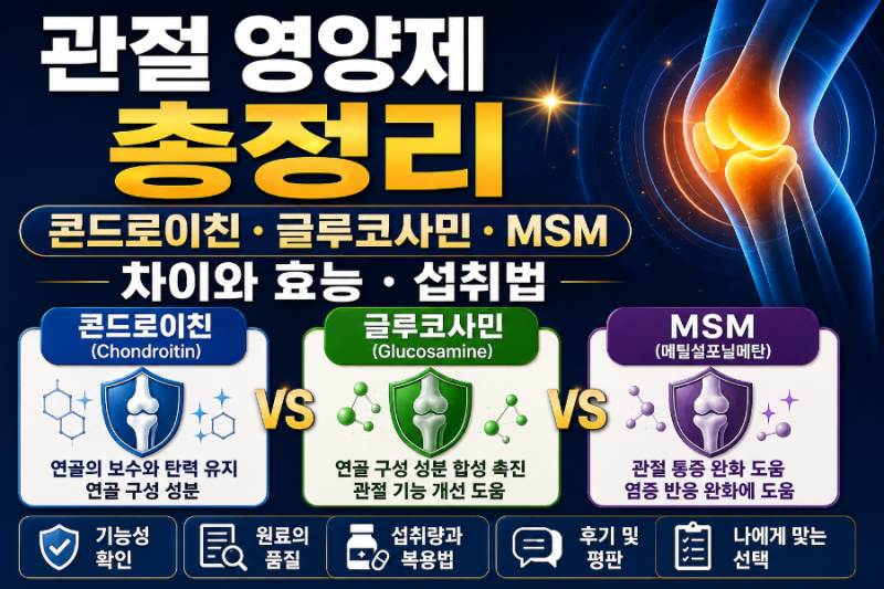 관절 영양제 총정리｜콘드로이친 /글루코사민 / MSM 차이와 효능 / 섭취법