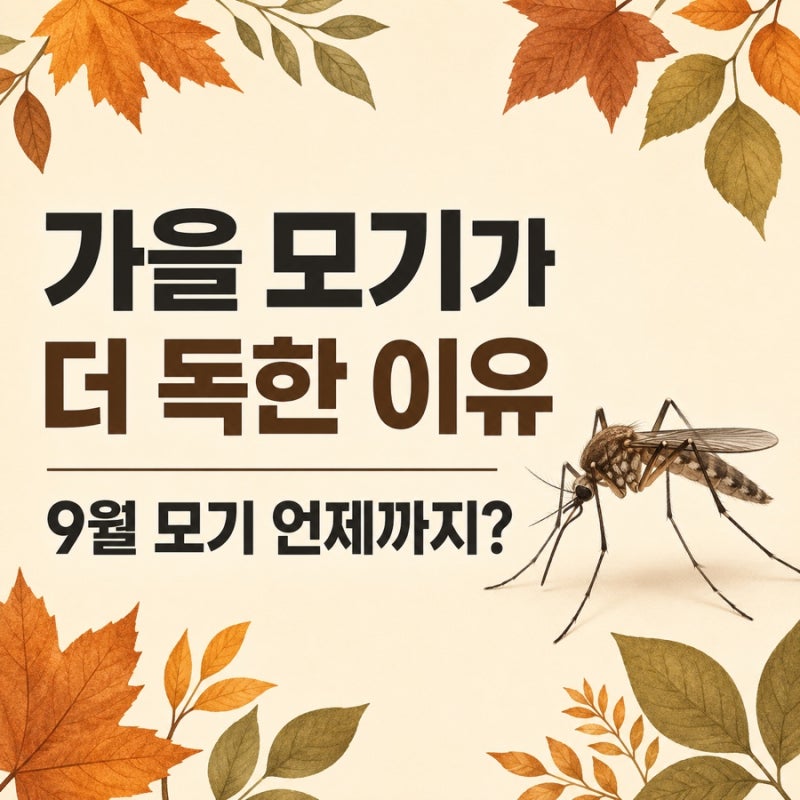 가을 모기가 더 독한 이유는? 9월 모기 언제까지 있을까