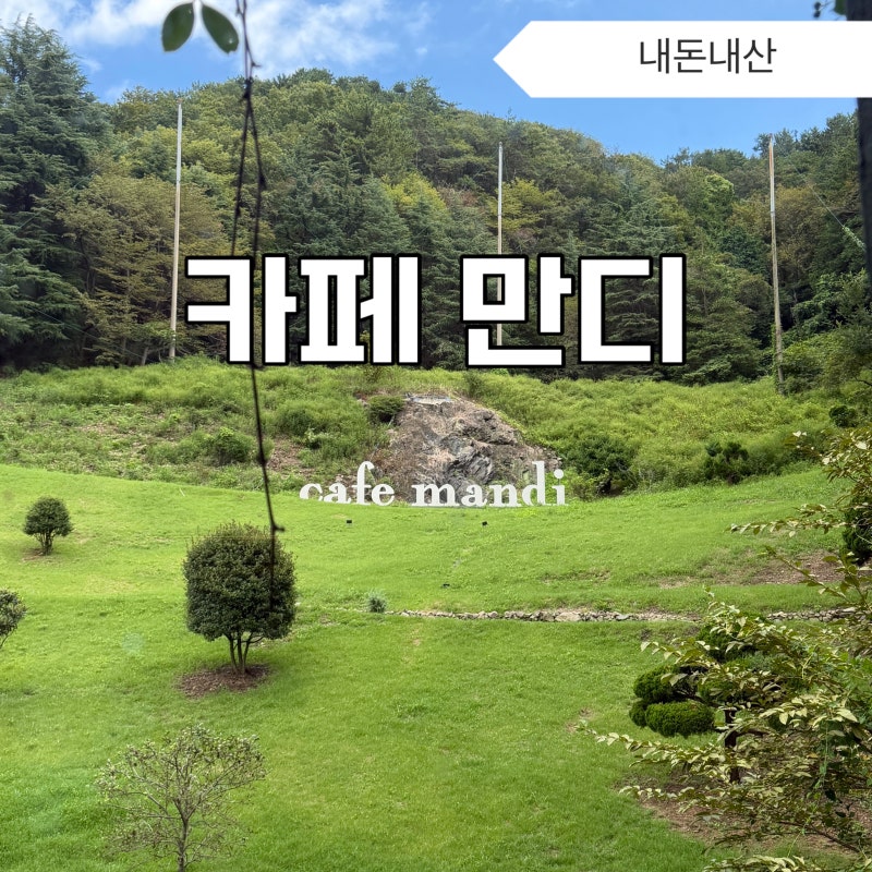 부산 애견동반 감성 카페 만디 주차 편리, 펫프렌들리존 구분