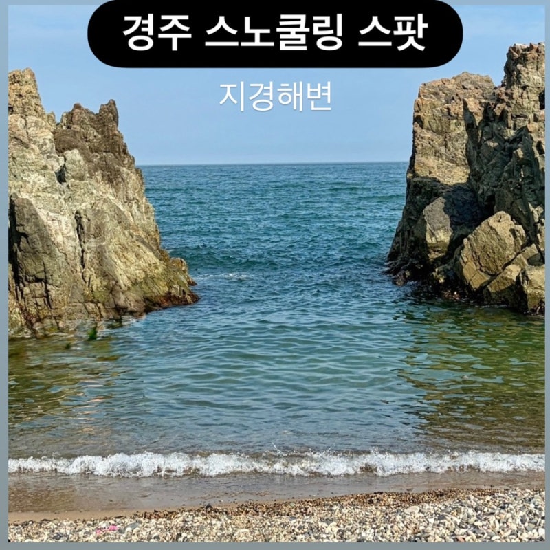 경주 스노쿨링 스팟 지경해변 주차 샤워실 해루질 국내 여름 여행지 추천