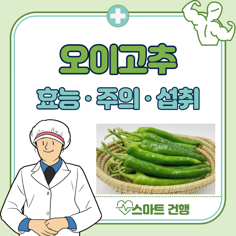오이고추 효능 5가지, 부작용 : 아삭이고추 효능